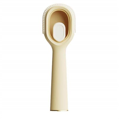 Multifunctional Liquid Dispensing Shoe Brush for Home Use, P