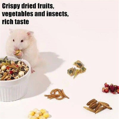 Hamster Bedding Dry Food Natural Cage Decoration Hamster