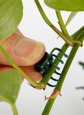 100PCS Plastic Plant Support Clips Orchid Stem Clip for Vine