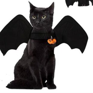 Costume Cat Halloween Wings Pet Bat Small Cute