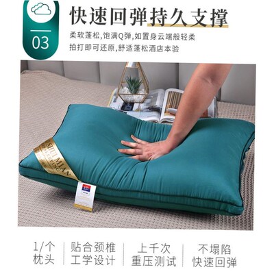 Pillow Healthy pillows feather velvet hotel pillow for bed