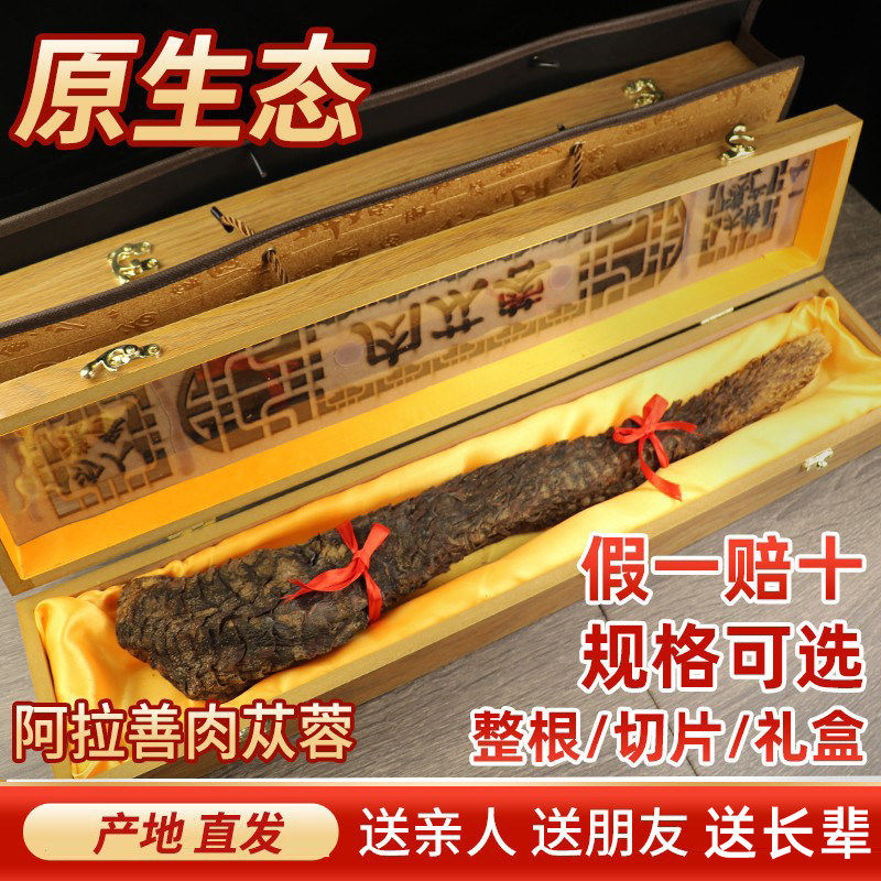 肉苁蓉整根内蒙阿拉善荒漠油苁蓉整根男性送礼泡茶泡酒料礼盒装