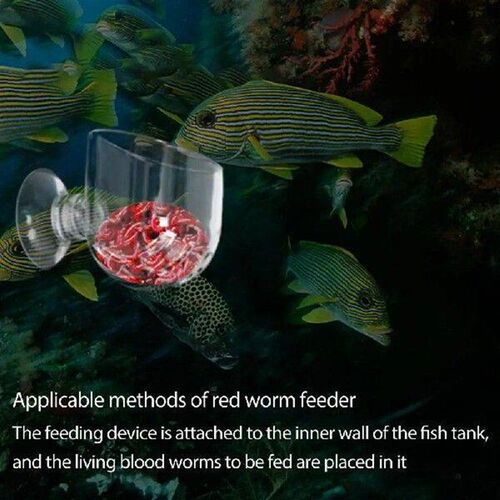 Practical Fish Feeding Container with Suction Cup Acrylic
