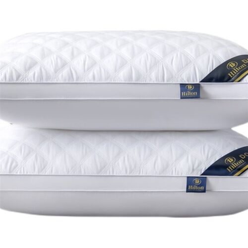 Pillow Healthy pillows feather velvet hotel pillow for bed