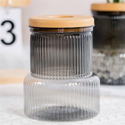 Desktop Hydroponic Vase Ornaments with Lid Creative Promote