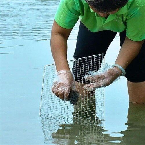 2 Pcs Rack Stainless Steel BBQ Mesh Tools Barbecue