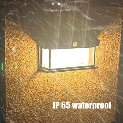 LED Solar Tungsten Light Human Body Induction Solar Wall Lam