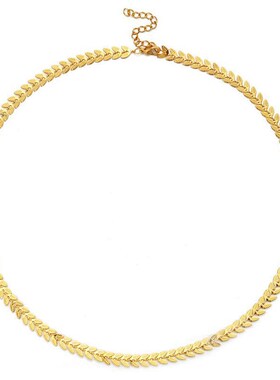 Simple Fashion Stainless steel chain womens collarbone chain