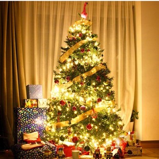 LED Christmas Lights Fairy Garland String Light Waterproof