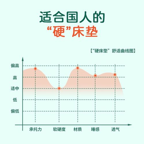 15公分床垫子硬椰棕粽榈天然纯乳胶定制家用卧室学生加厚1米2单人