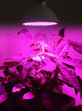 New 20W 166 Red 34 Blue LED Grow Light Bulb E27 Plant Lamp
