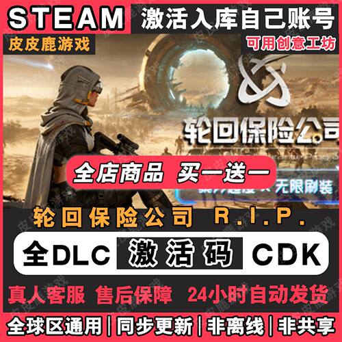 Steam正版轮回保险公司R