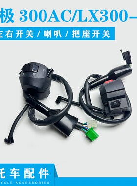 适用无极300AC左右闸把LX300-6C闸把开关VOGE300复古左右手把开关