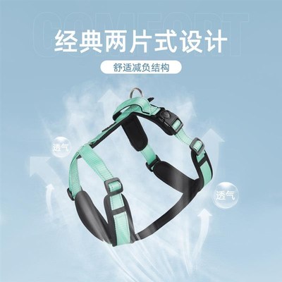 Dog leash for walking small and medium sized dogs