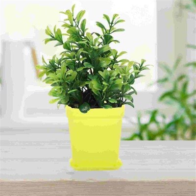 6pcs Thicken Flower Pots Square Pot Trays Plastic Pots