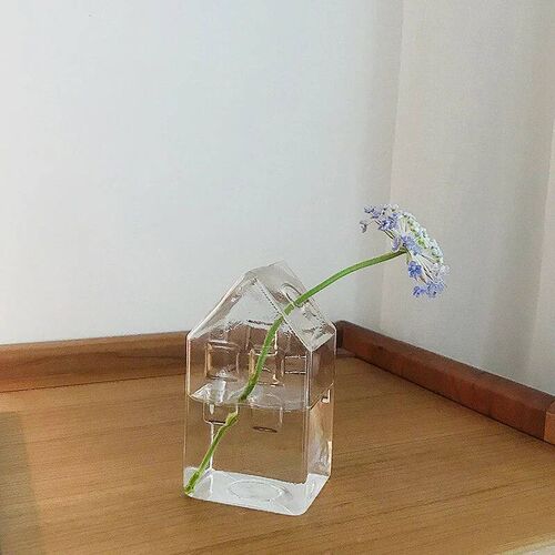 Flower Vase for Home Decor Glass Vase Floral Terrarium Plant