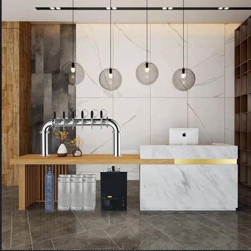 精酿啤酒设备风冷水冷全自动扎啤机吧台直冷一体机商用冷酿酒