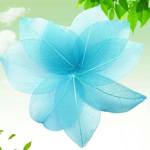 100pcs Natural Skeleton Leaf Vein Dried Nail Art Flowers Boo