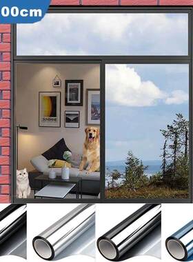 Window Privacy Tint Film One Way Mirror Vinyl Anti Look Hous