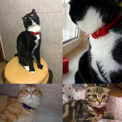 Cat Collar With Bell Safety Cat Collars Puppy Dog Collar For