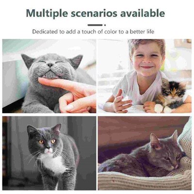 2 Pcs Tumbler Rolling Toy Cat Interactive Food Pet