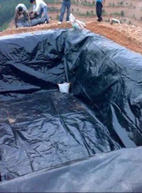 黑色塑料加厚薄膜养殖膜鱼塘专用膜鱼池防水膜藕池防渗膜土工膜