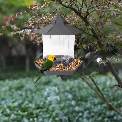 Bird Feeders For Outside Gazebo Feeder Clear Feeding Bowl