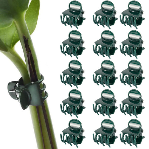 100PCS Plastic Plant Support Clips Orchid Stem Clip for Vine