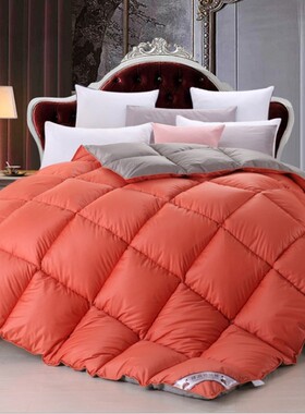 95% white goose down winter quilt comforter blanket duvet 被
