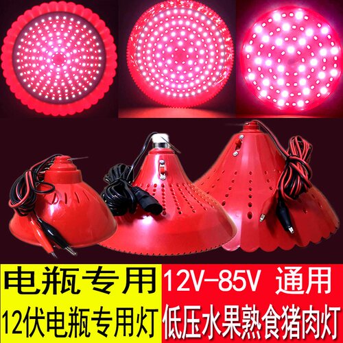 12-85V生鲜灯猪肉灯48V熟食灯60伏led水果灯低压电瓶灯红光黄白光