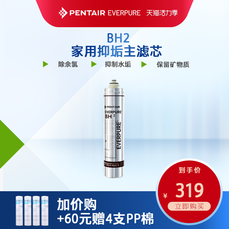 爱惠浦净水器主滤芯家用自来水过滤器直饮净水机耗材BH2