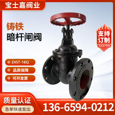 铸铁法兰闸阀Z45X/T-16Q 暗杆铜芯铜杆闸阀 适用于DN40 DN50 100