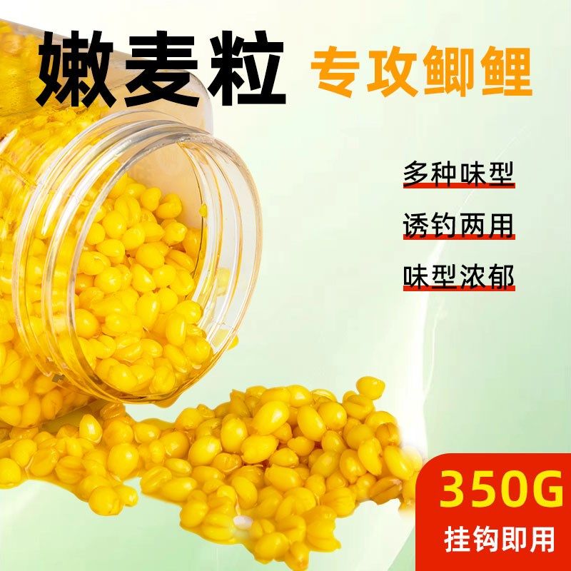 谷麦小麦钓鱼饵料专用打窝麦粒野钓鲫鱼鲤鱼草鱼麦子窝料鱼食果香,户外/登山/野营/旅行用品,活饵/谷麦饵等饵料,淘宝优惠券,粉丝福利购,淘宝优惠卷