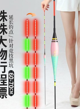 血道纳米大物夜光漂60cm70cm黑坑青鱼缓沉珠珠加长行程接口电子漂