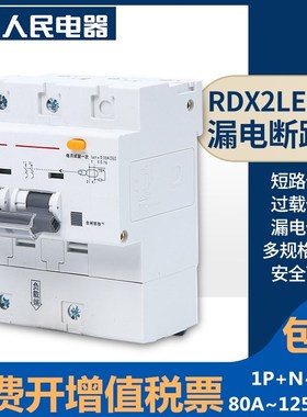 RDX2LE漏电断路器漏保空气开关带漏电保护1P100A125A80A人民电器