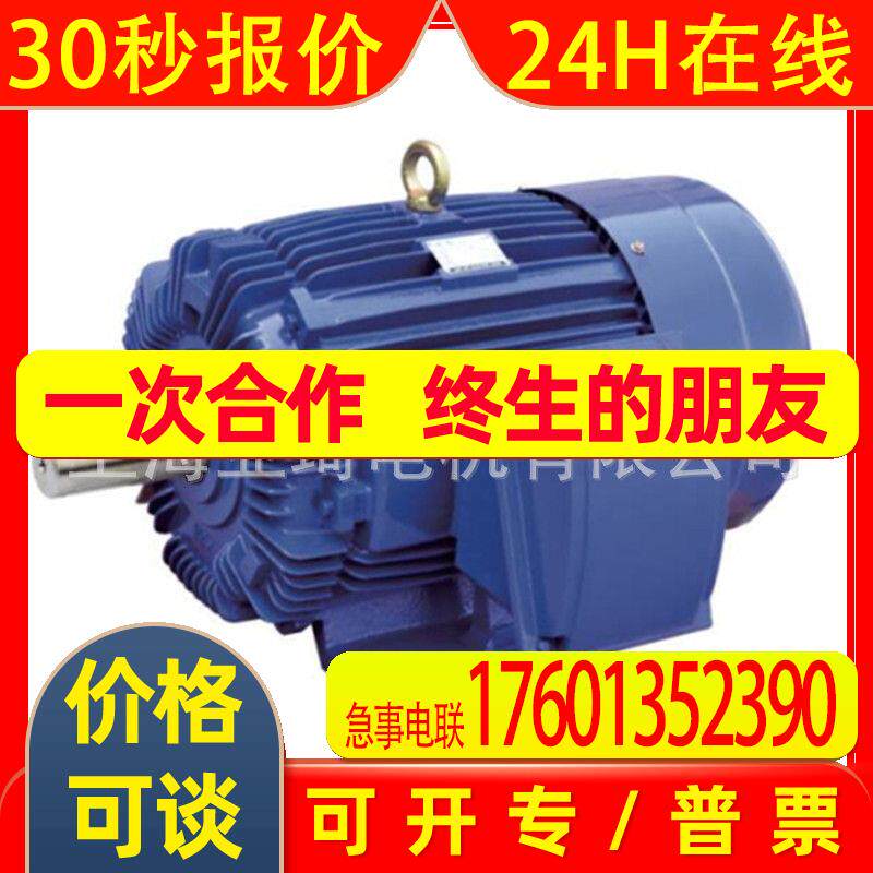 FRAME-449T-250HP-4 IE3 UL 电机250HP60HZ 出口美国NEMA电机