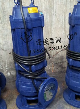 上海QW潜污泵无堵塞排污泵QW40-15-30-2.2,50-18-30-3,65-37-13-3