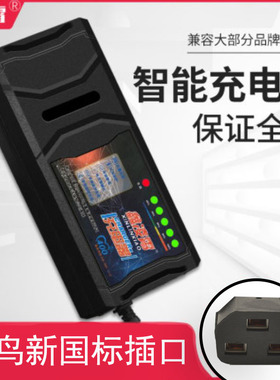 自动关机智能电动车电瓶充电器48V12AH60V20AH72V30A通用小鸟三横