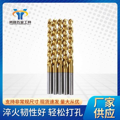 13pcs Metric Sstem Twist Drill Bits Set HSS Change Drilling