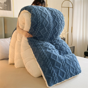 Warm Comforter Duvet Quilt Thick Blanket Wool Velvet Winter