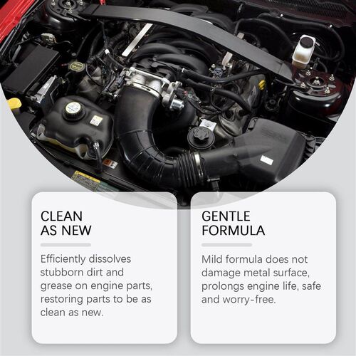 RAYHONG Car Engine Cleaner, External Engine Cleaner for Remo