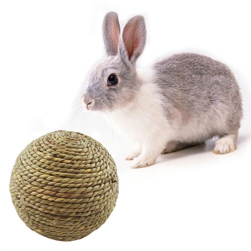 Pet Toys 6cm Rabbit Chewing Pet Chew Natural Grass Ball For
