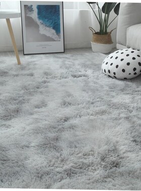 Carpet living room tea table bedroom bedside blanket mat地毯