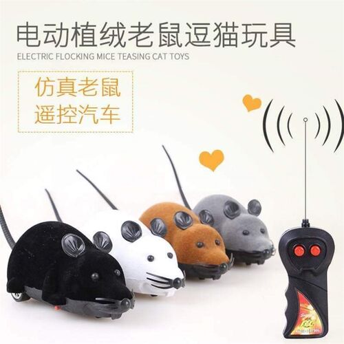Pet products cat dog dog puzzle cat toy wireless remote