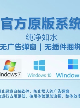 电脑重装系统win10纯净windows11正版系统远程重做win11系统安装