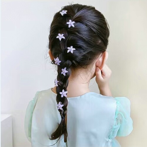 pin Girl Cute Headdress Girl Mini Hair Claw Hair Accessories