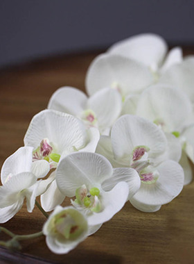 110CM 11 Heads Silk Orchid Phalaenopsis Flowers DIY Wedding