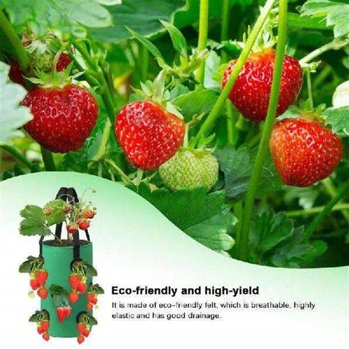 Strawberry Grow Bags Planting Bag Plant Grow Hanging Bag