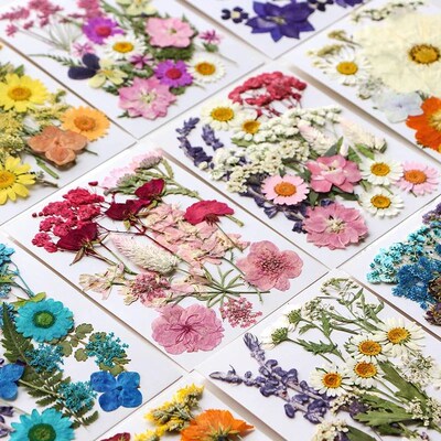 Dried Flower Set 16-19PCS Pack Pressed Real Natural Flowers
