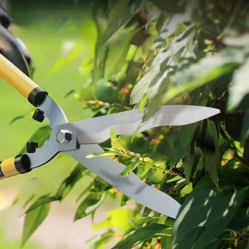 Garden Tools Gardening Scissors Flower Pruner Garden Shears